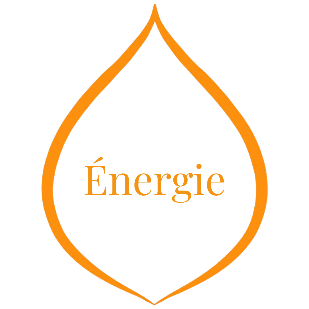 Guide - Énergie FT Guide energie FT