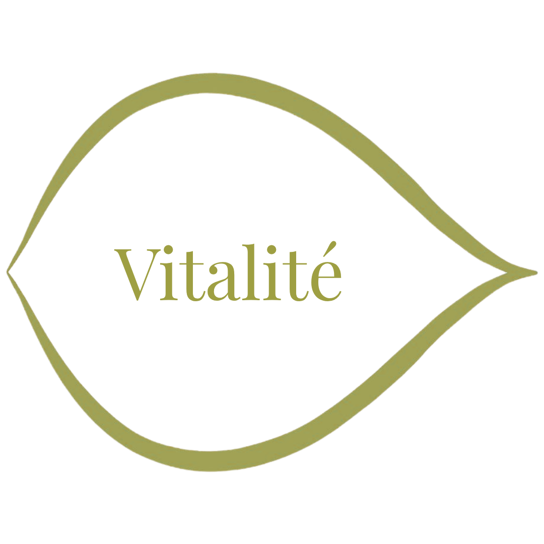Guide - Vitalité FT Guide vitalite FT